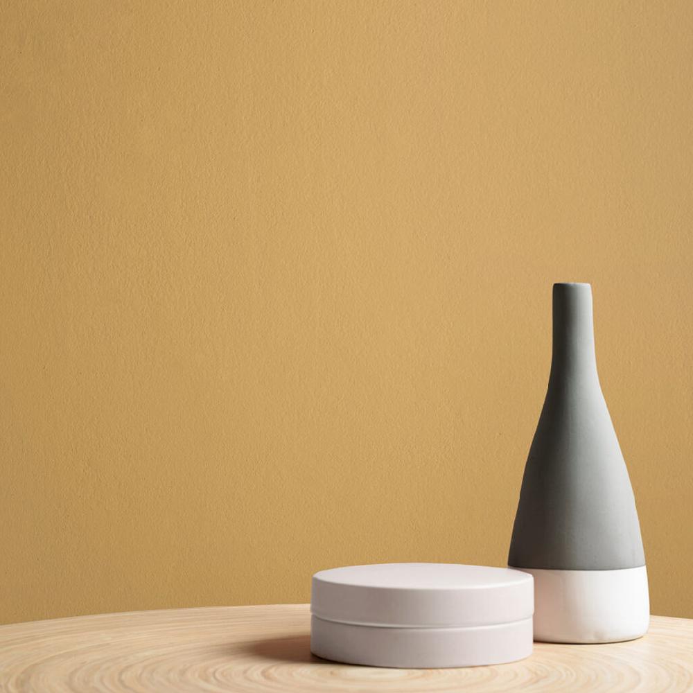 Graham & Brown Ambition Paint