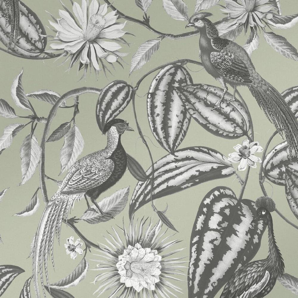Graham & Brown Amherst's Garden Sage Wallpaper