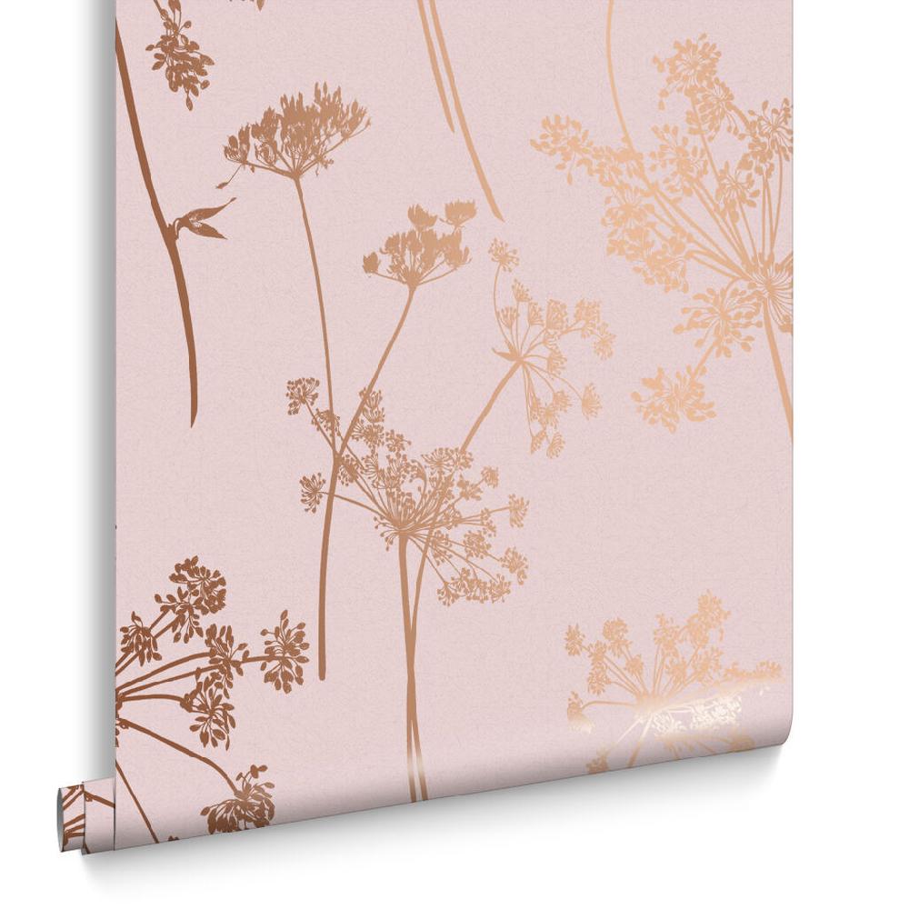 Graham & Brown Anthriscus Blush Wallpaper
