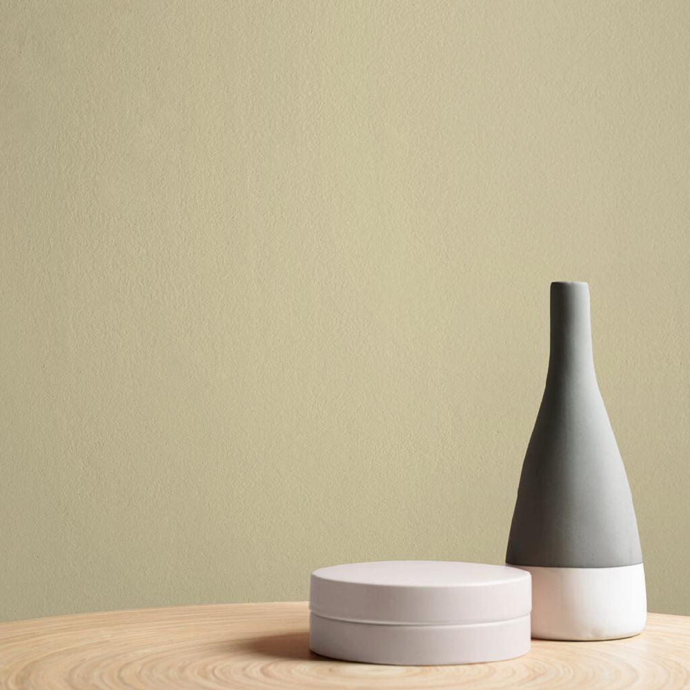 Graham & Brown Artisan Paint