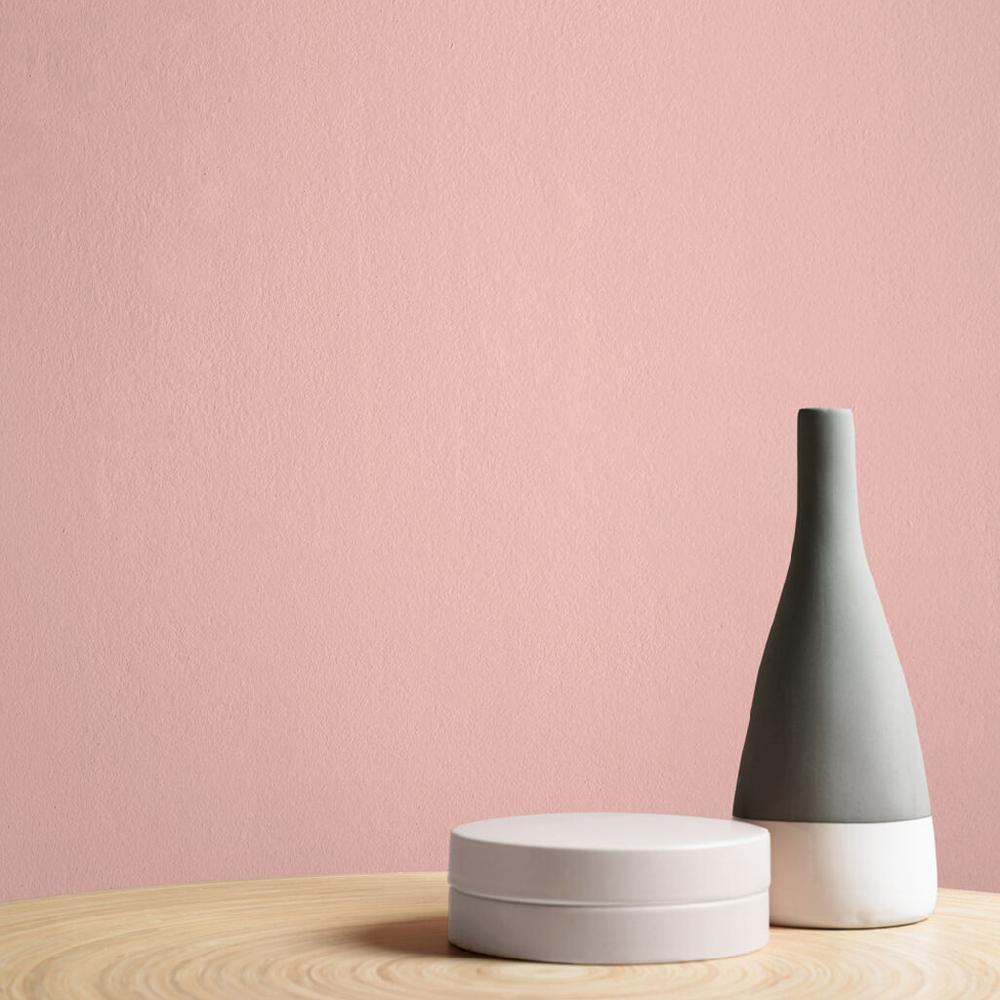 Graham & Brown August Paint