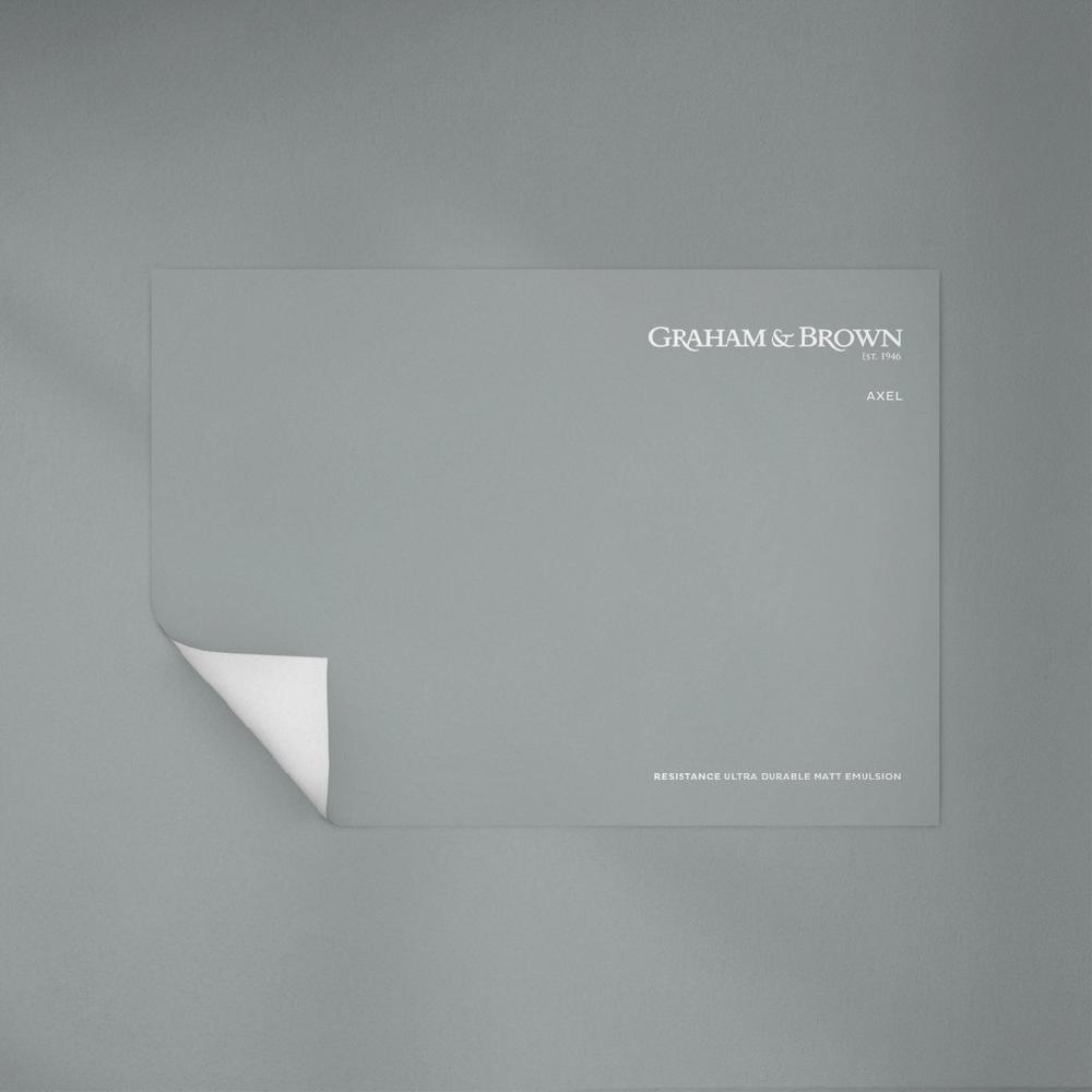 Graham & Brown Axel Paint