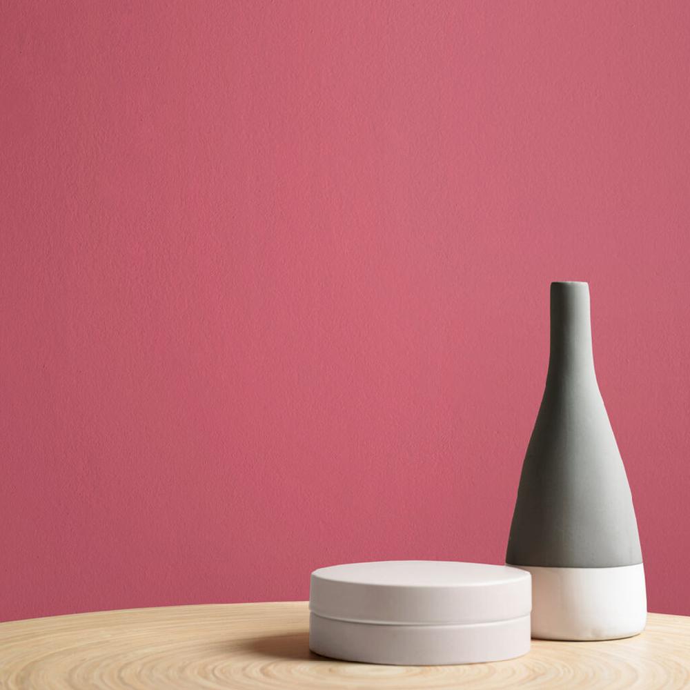 Graham & Brown Bikini Paint