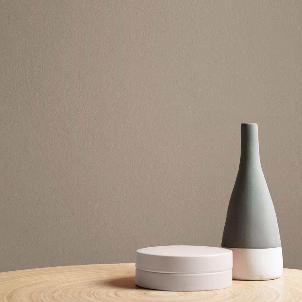 Graham & Brown Birdhouse Paint