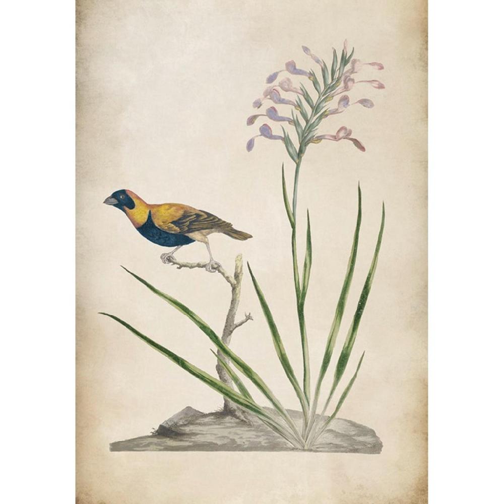 graham & brown Birds Rest Multicolor Wall Art