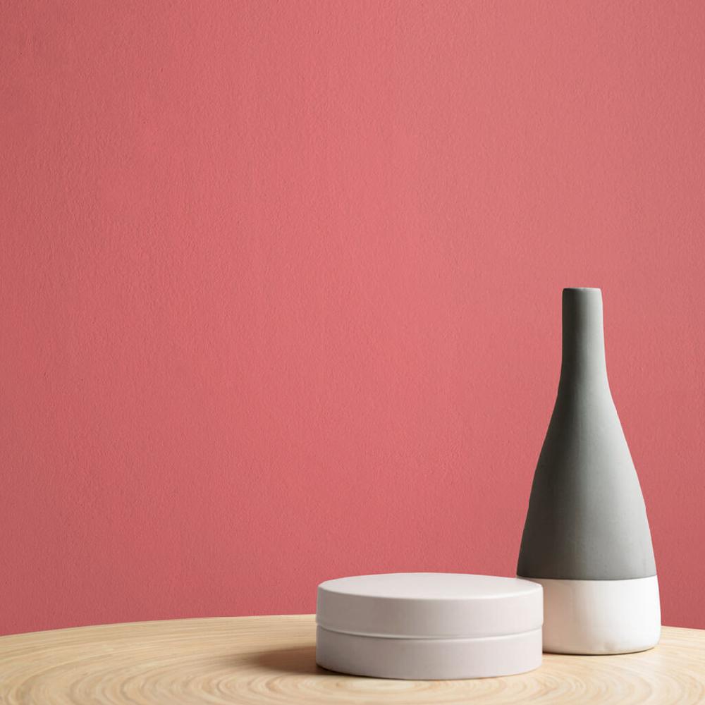 Graham & Brown Bittersweet Paint