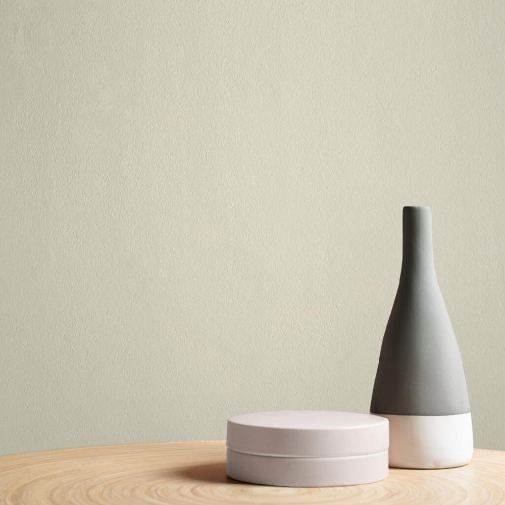 Graham & Brown Blanc Paint