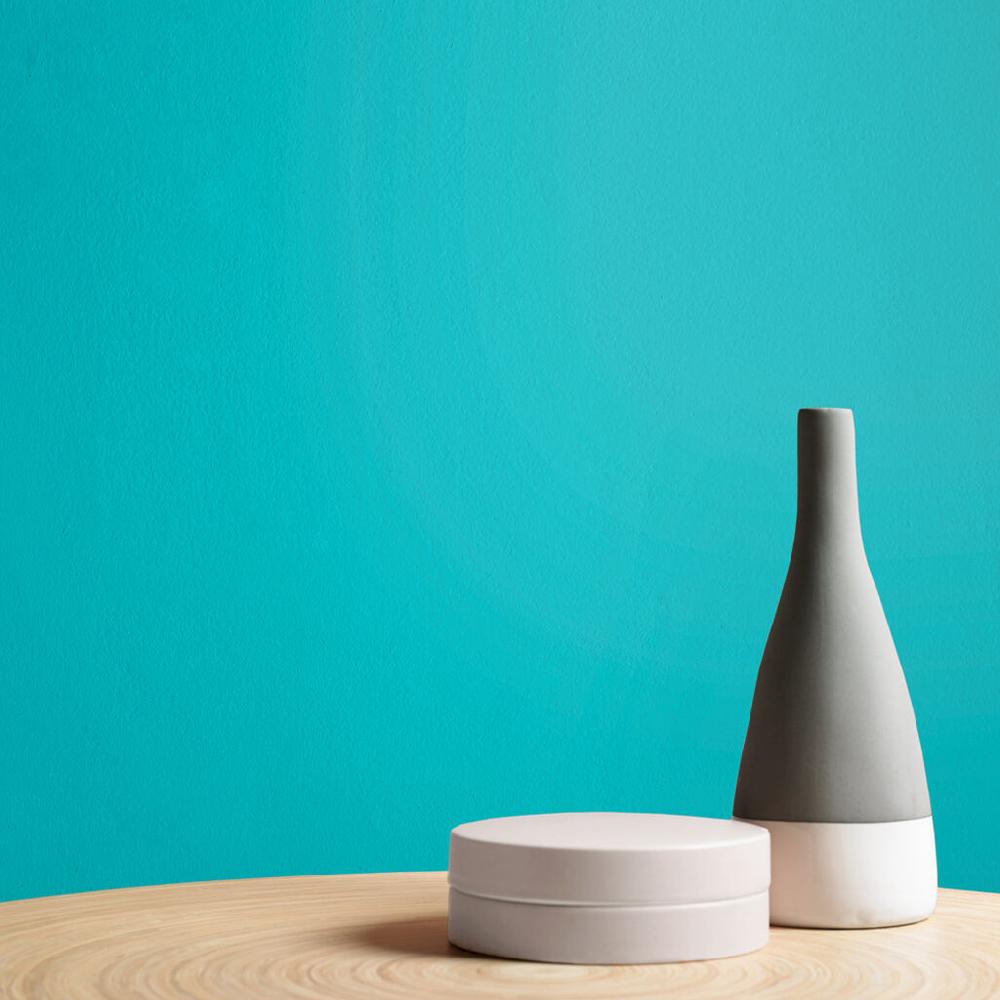 Graham & Brown Blue Monkey Paint