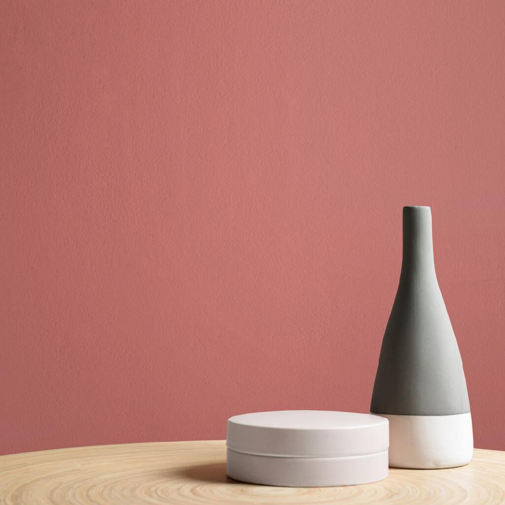 Graham & Brown Bobbi Paint