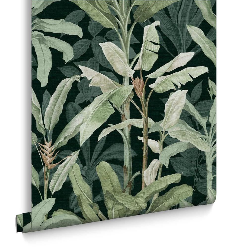 Graham & Brown Borneo Emerald Wallpaper