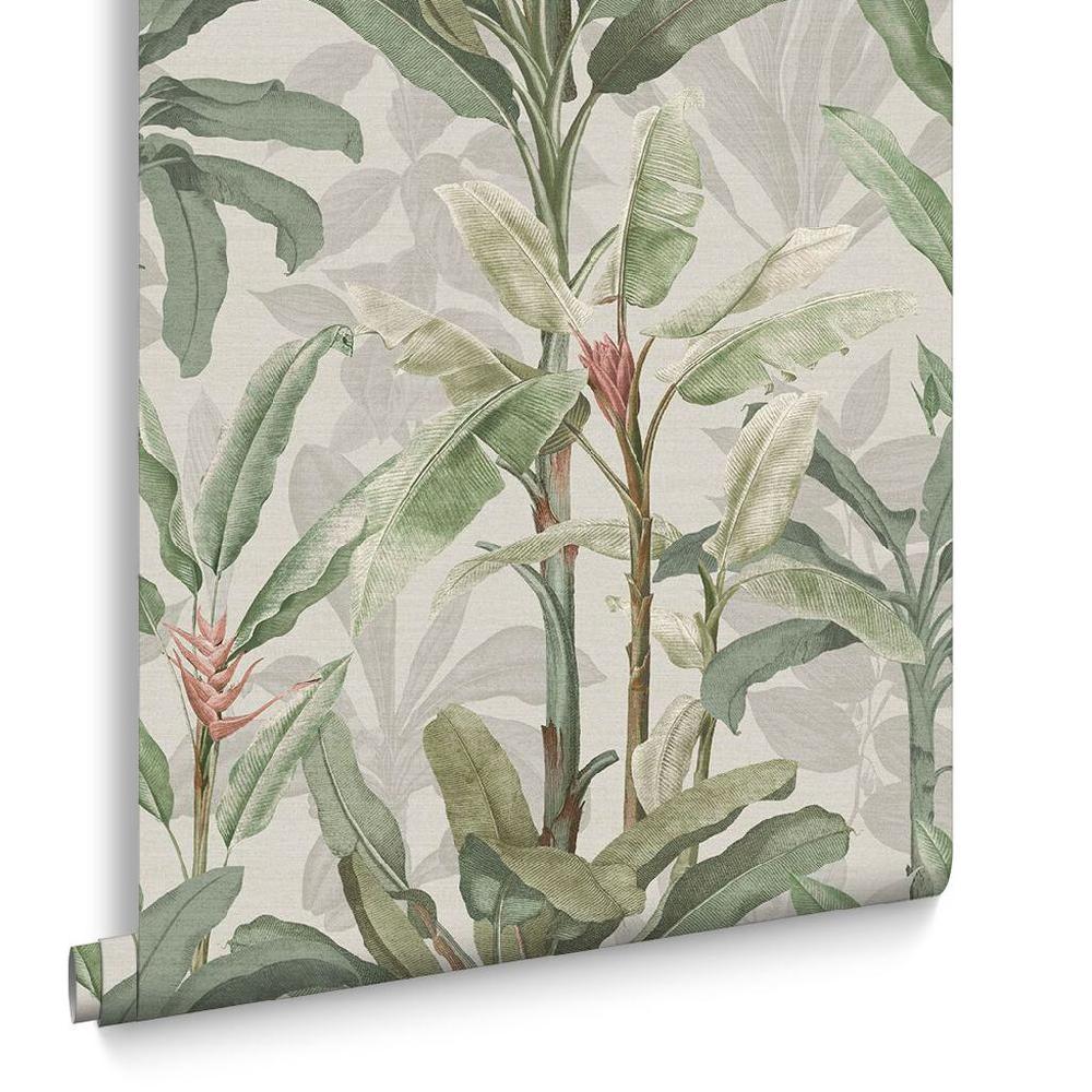 Graham & Brown Borneo Powder Wallpaper