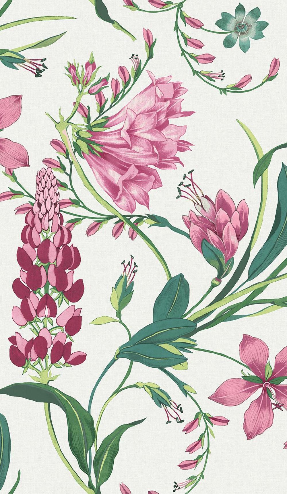 Graham & Brown Botanist's Scroll Mauve Wallpaper