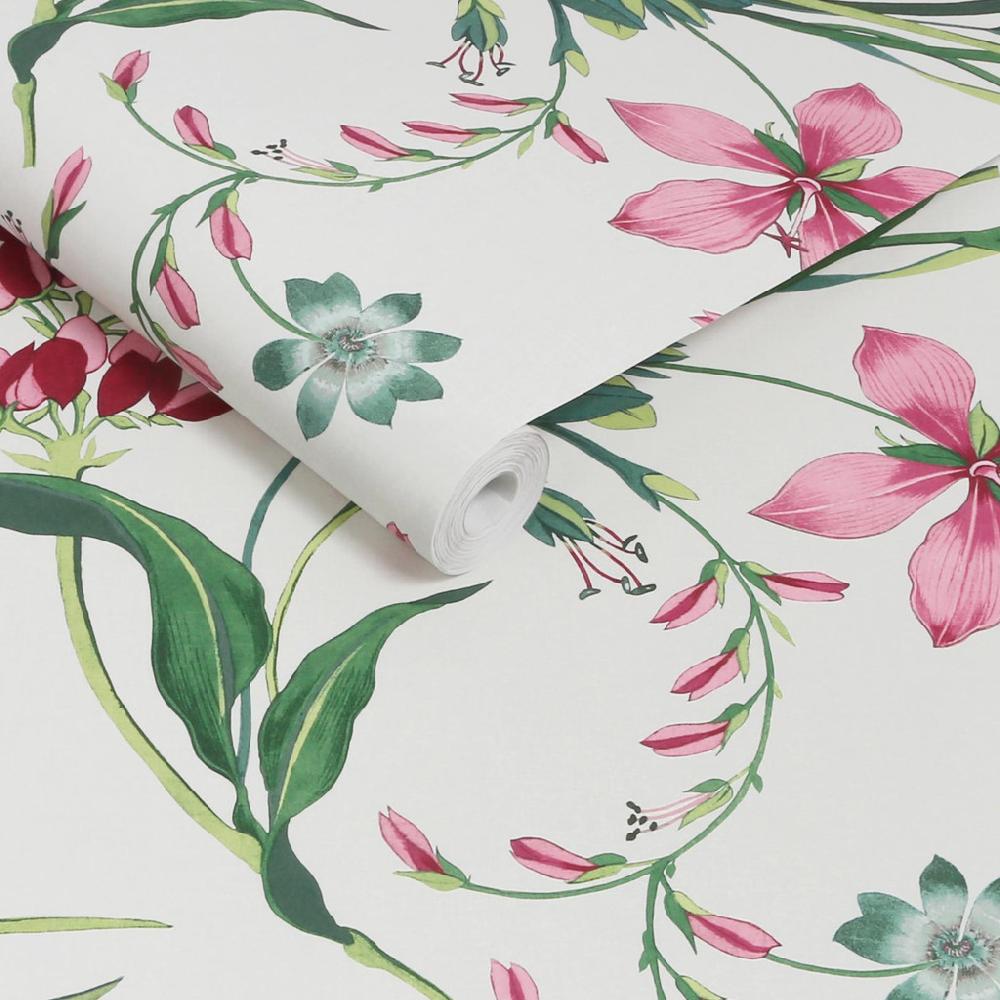 Graham & Brown Botanist's Scroll Mauve Wallpaper