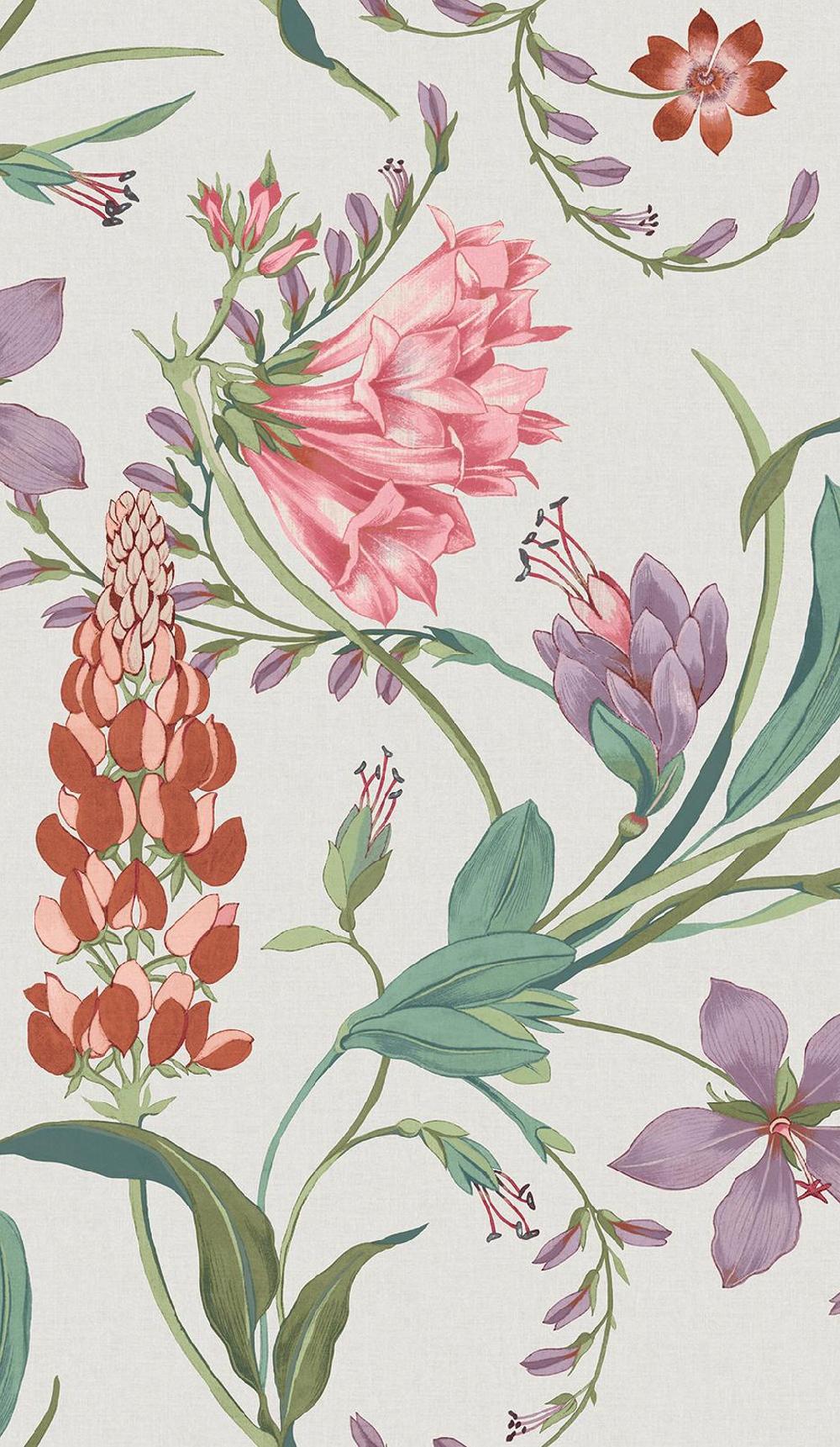 Graham & Brown Botanist's Scroll Pink Wallpaper