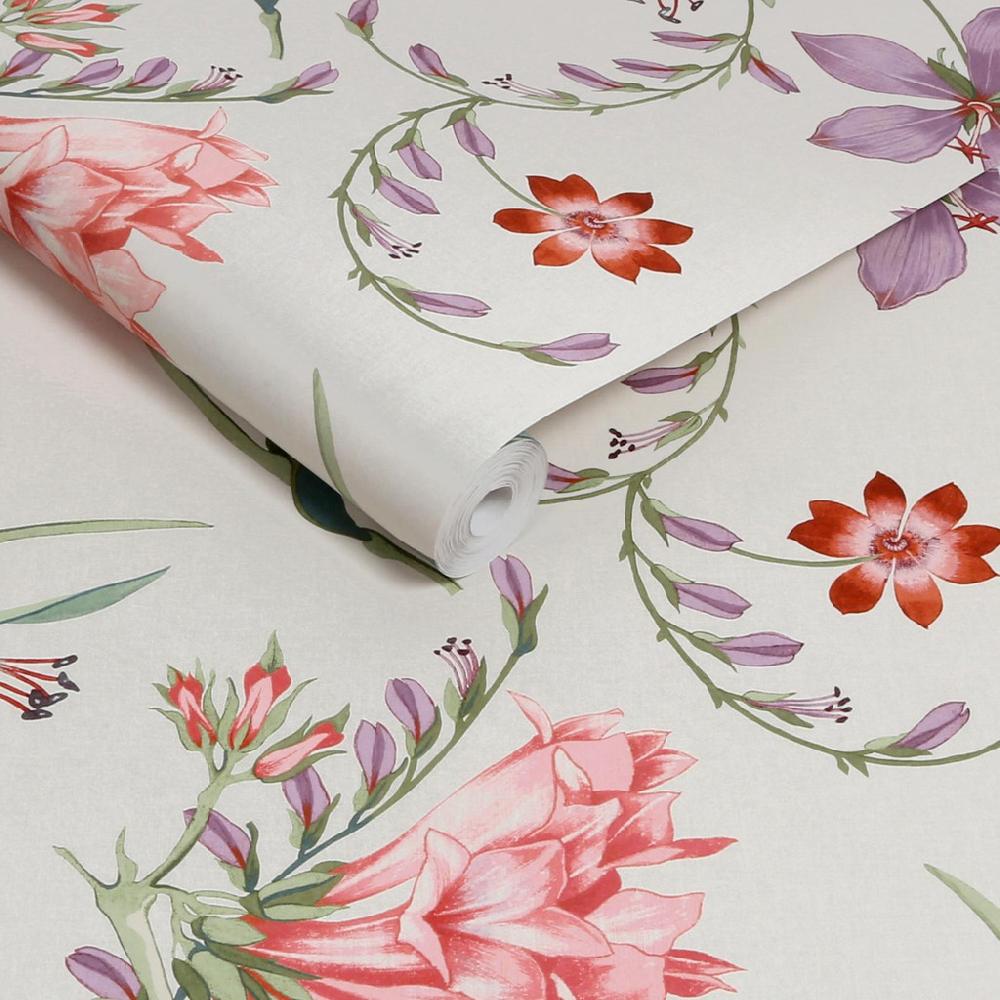 Graham & Brown Botanist's Scroll Pink Wallpaper