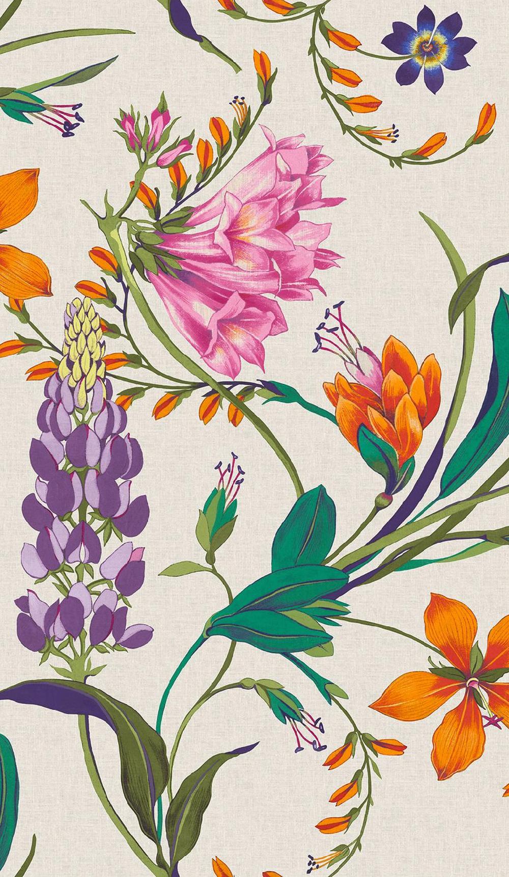Graham & Brown Botanist's Scroll Vivant Wallpaper