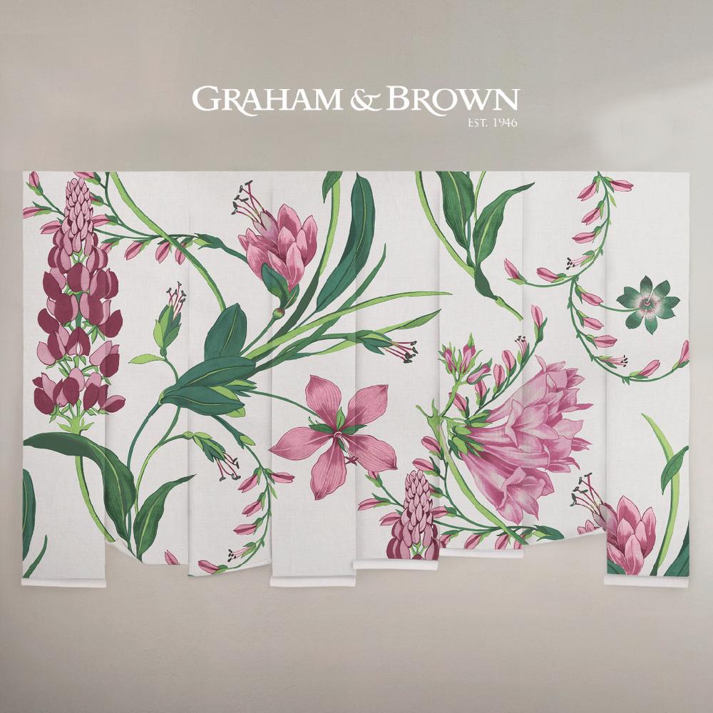 Graham & Brown Botanists Scroll Mauve Mural