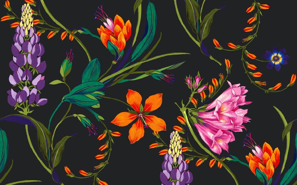 Graham & Brown Botanists Scroll Night Mural