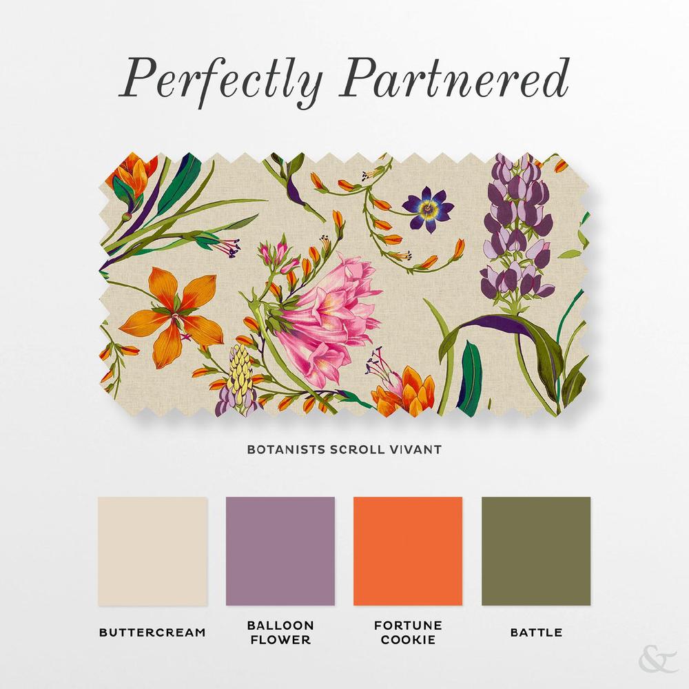 Graham & Brown Botanists Scroll Vivant Roller Blind