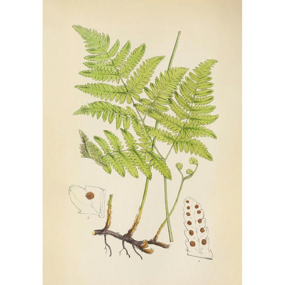 graham & brown Branching Life Green Wall Art