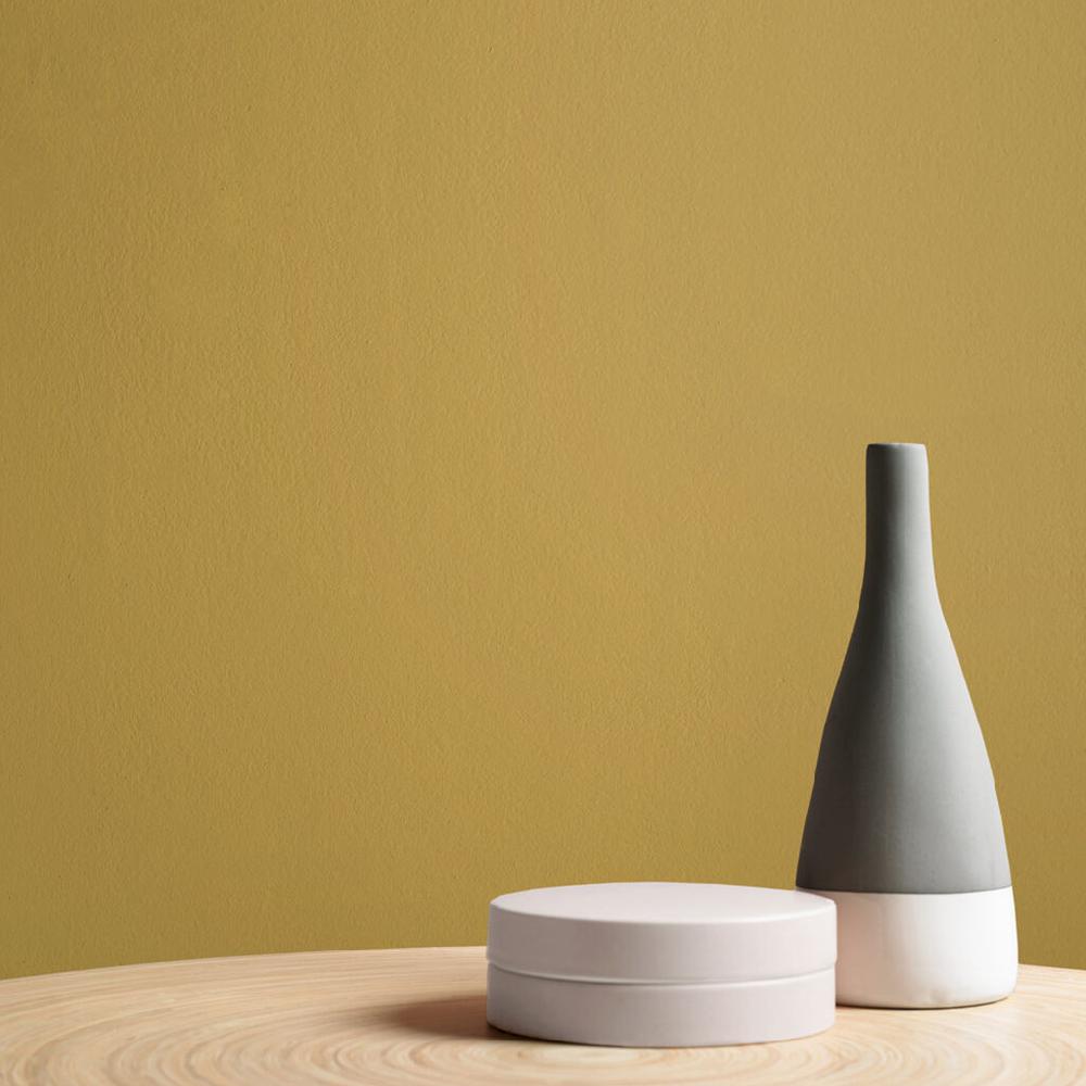 Graham & Brown Burnt Saffron Paint