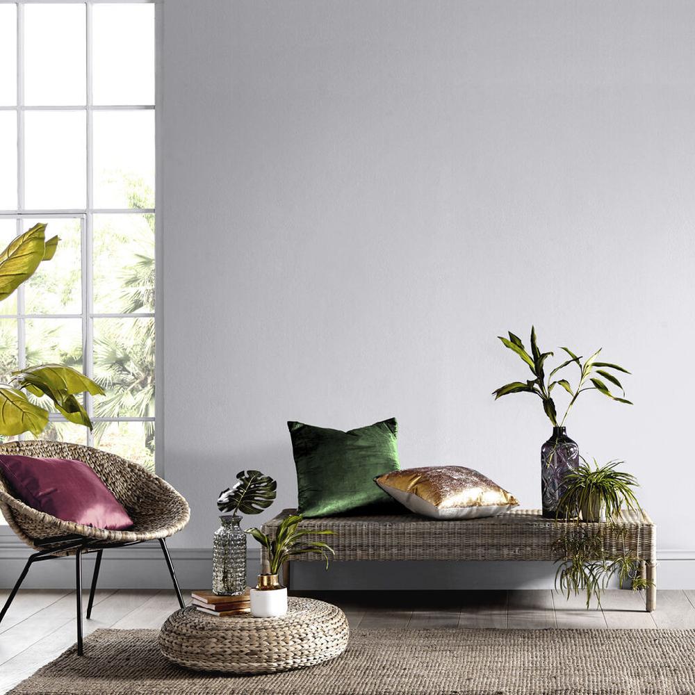 Graham & Brown Chaser Paint