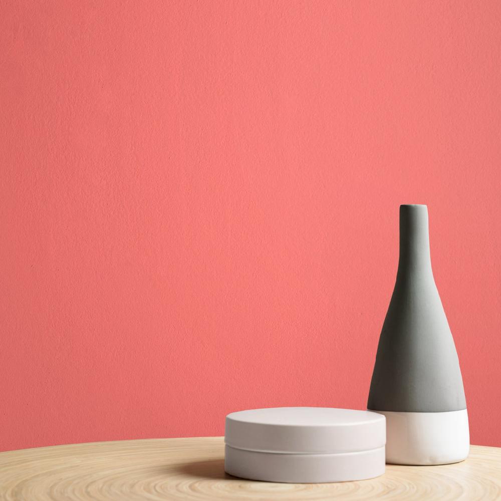 Graham & Brown Cheerleader Paint