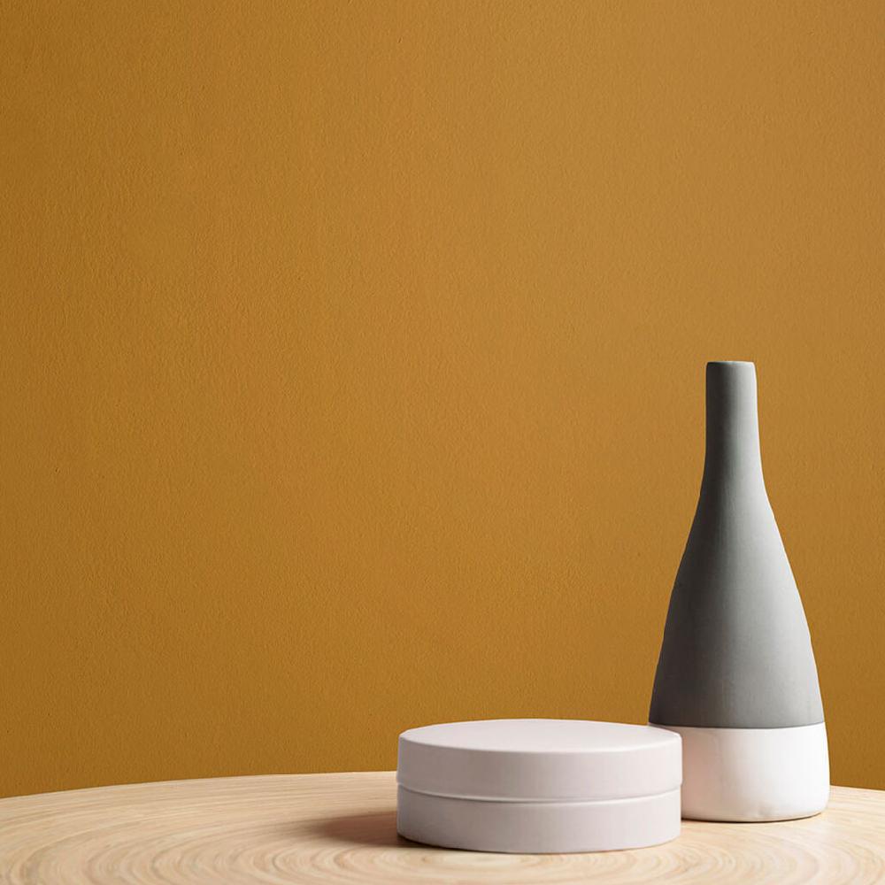 Graham & Brown Cirque Paint