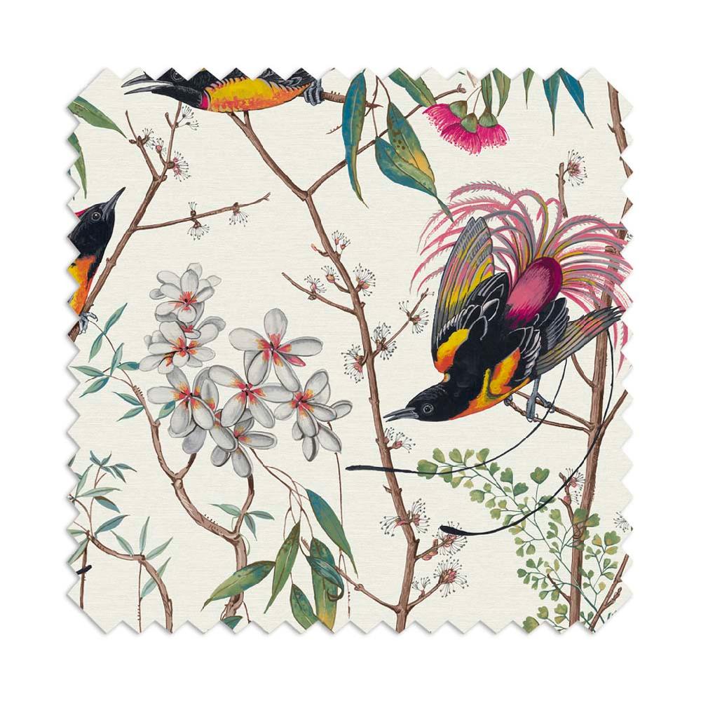 Graham & Brown Clavering Birds Day Roller Shade
