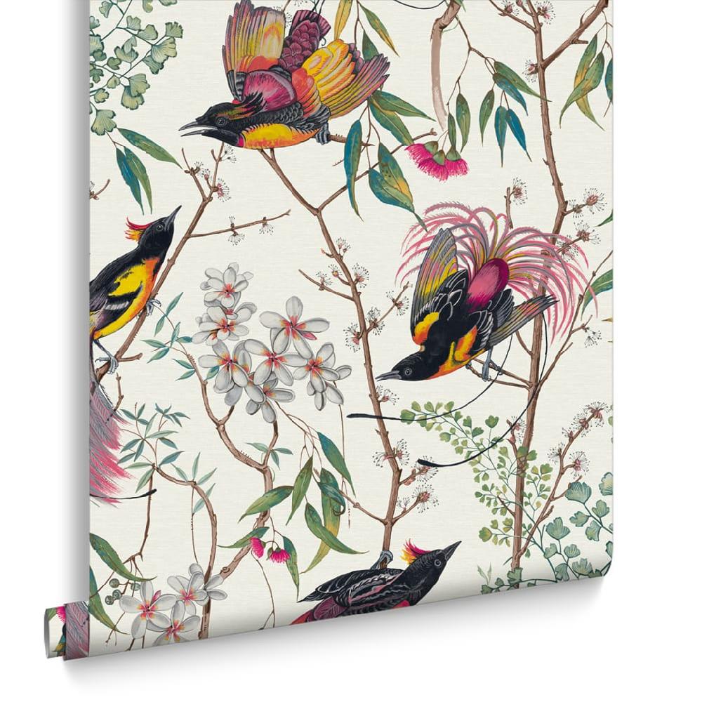 Graham & Brown Clavering Birds Day Wallpaper
