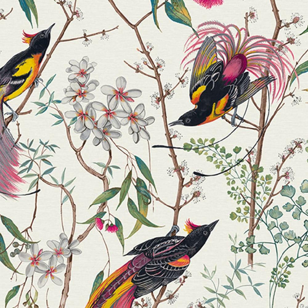 Graham & Brown Clavering Birds Day Wallpaper