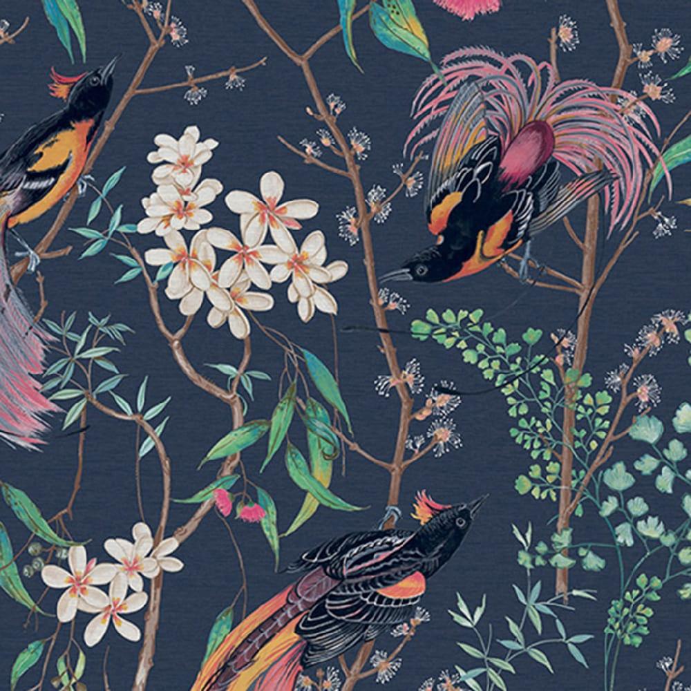 Graham & Brown Clavering Birds Night Wallpaper