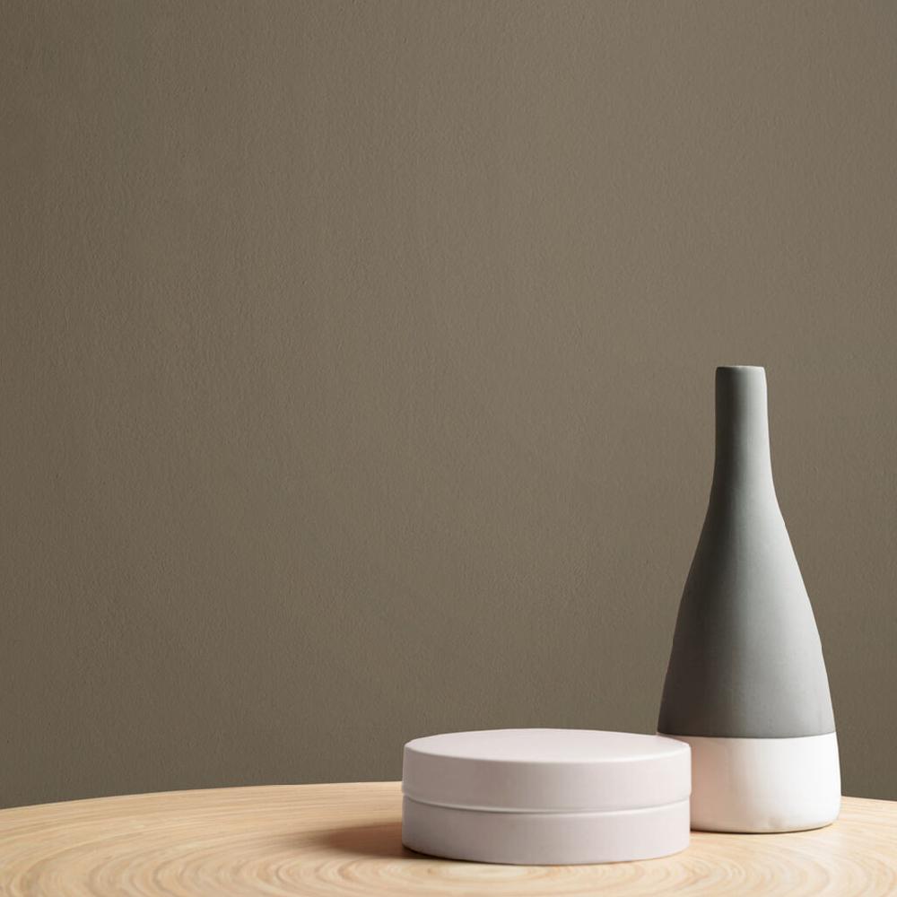 Graham & Brown Cogsworth Paint