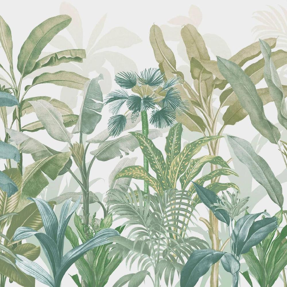 Graham & Brown Congo Sage Bespoke Mural