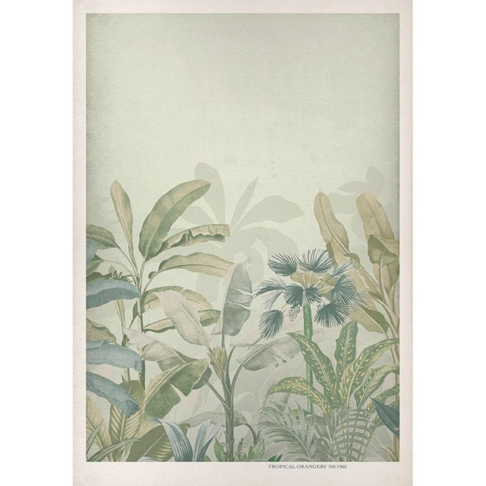 graham & brown Congo Sage Wall Art