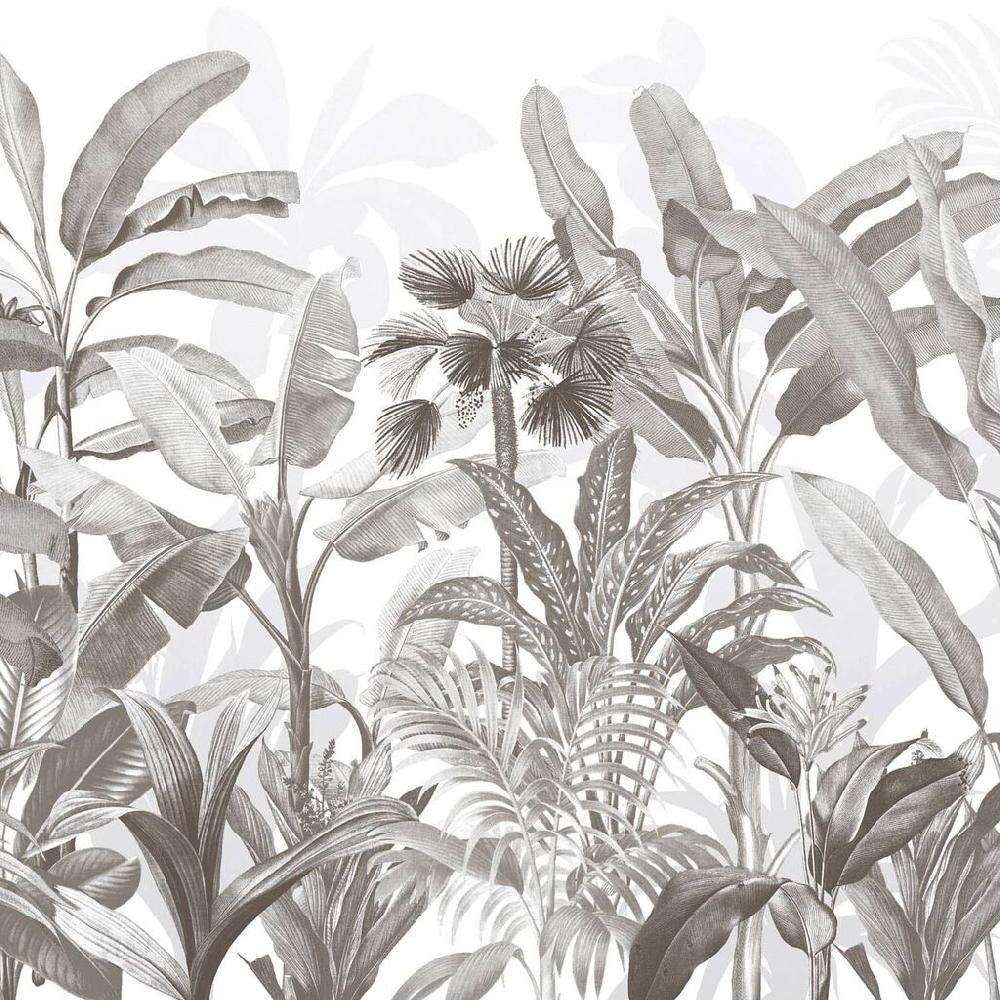 Graham & Brown Congo Sketch Bespoke Mural