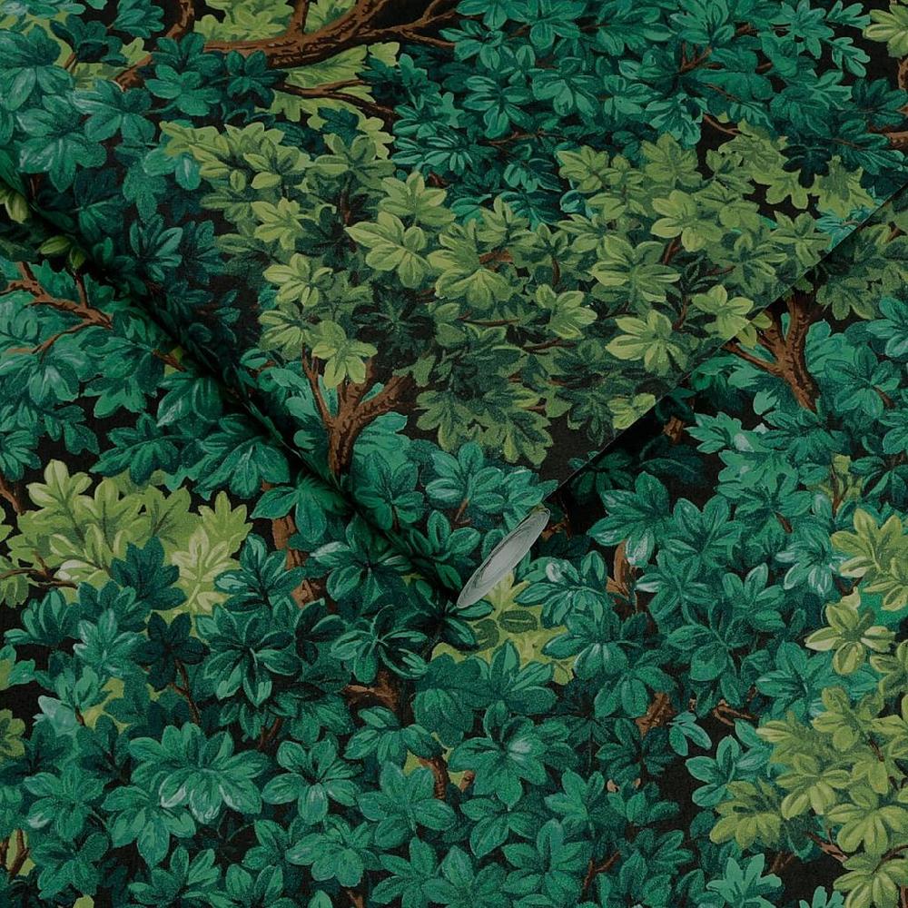 Graham & Brown Coppice Forrest Wallpaper