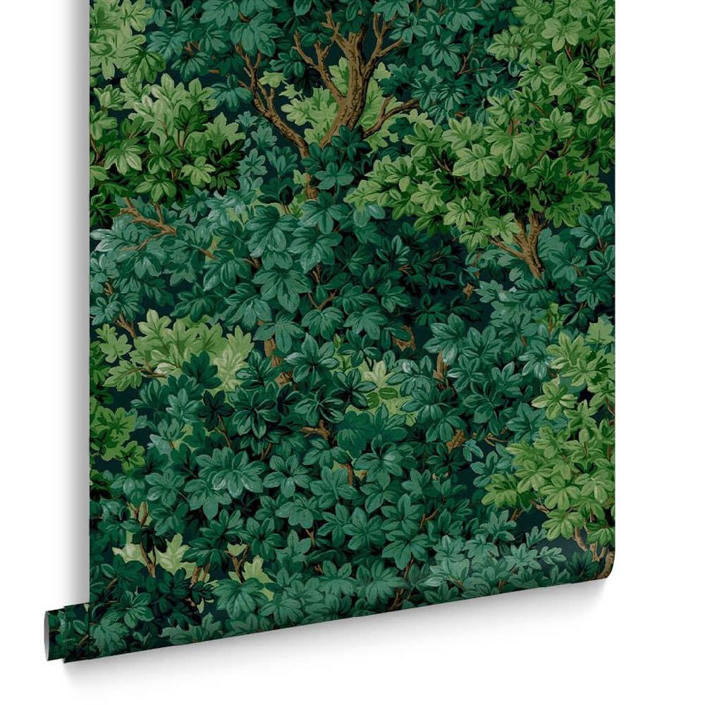 Graham & Brown Coppice Forrest Wallpaper