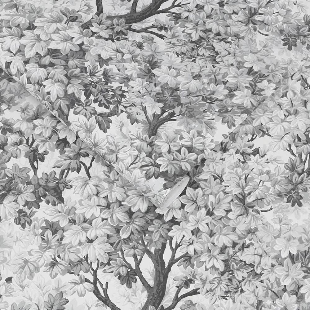 Graham & Brown Coppice Mono Wallpaper
