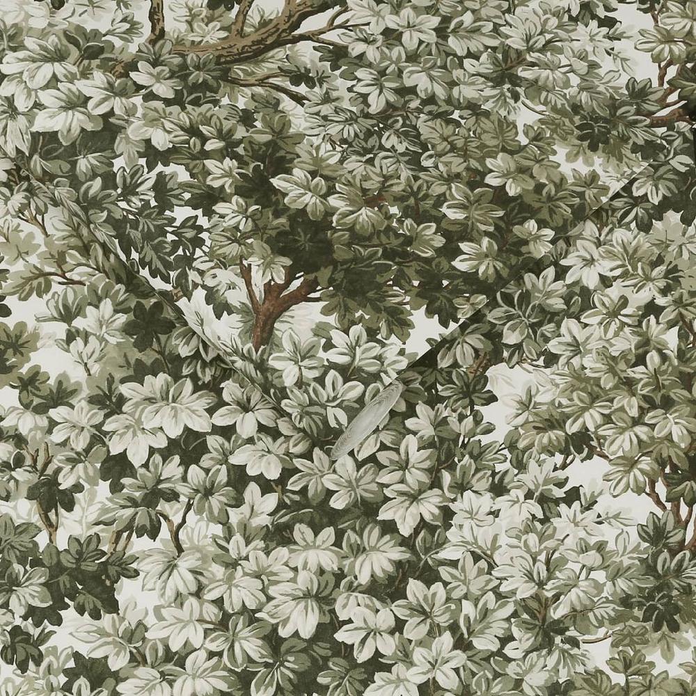 Graham & Brown Coppice Sage Wallpaper