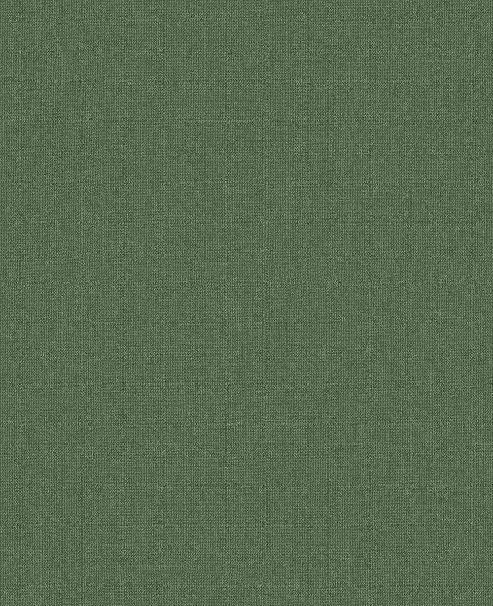 Graham & Brown Country Home Palm Wallpaper