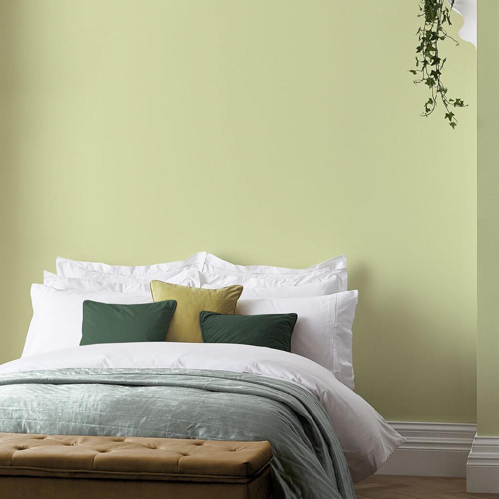 Graham & Brown Crockery Paint