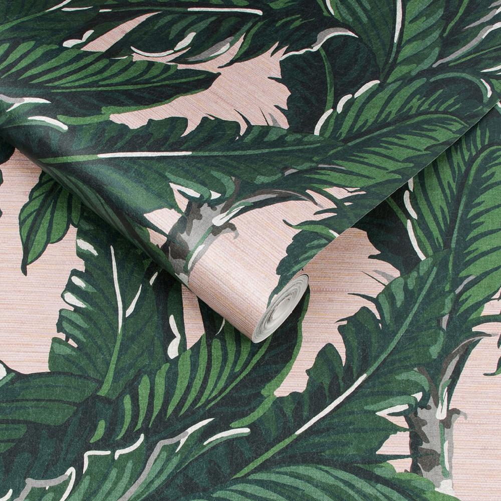Graham & Brown Daintree Palm Blush Wallpaper