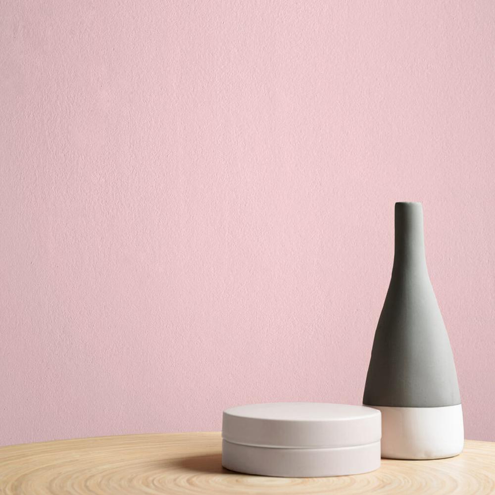 Graham & Brown Dolly Bird Paint