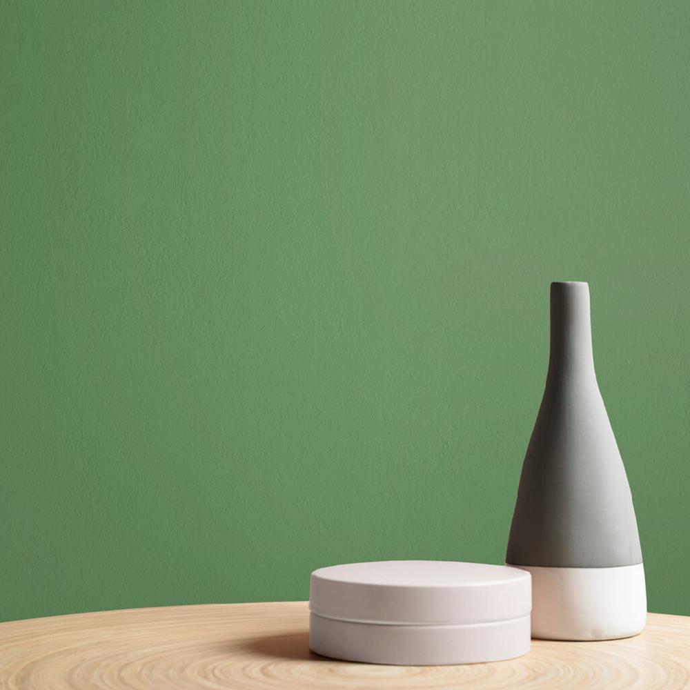 Graham & Brown Ecuador Paint