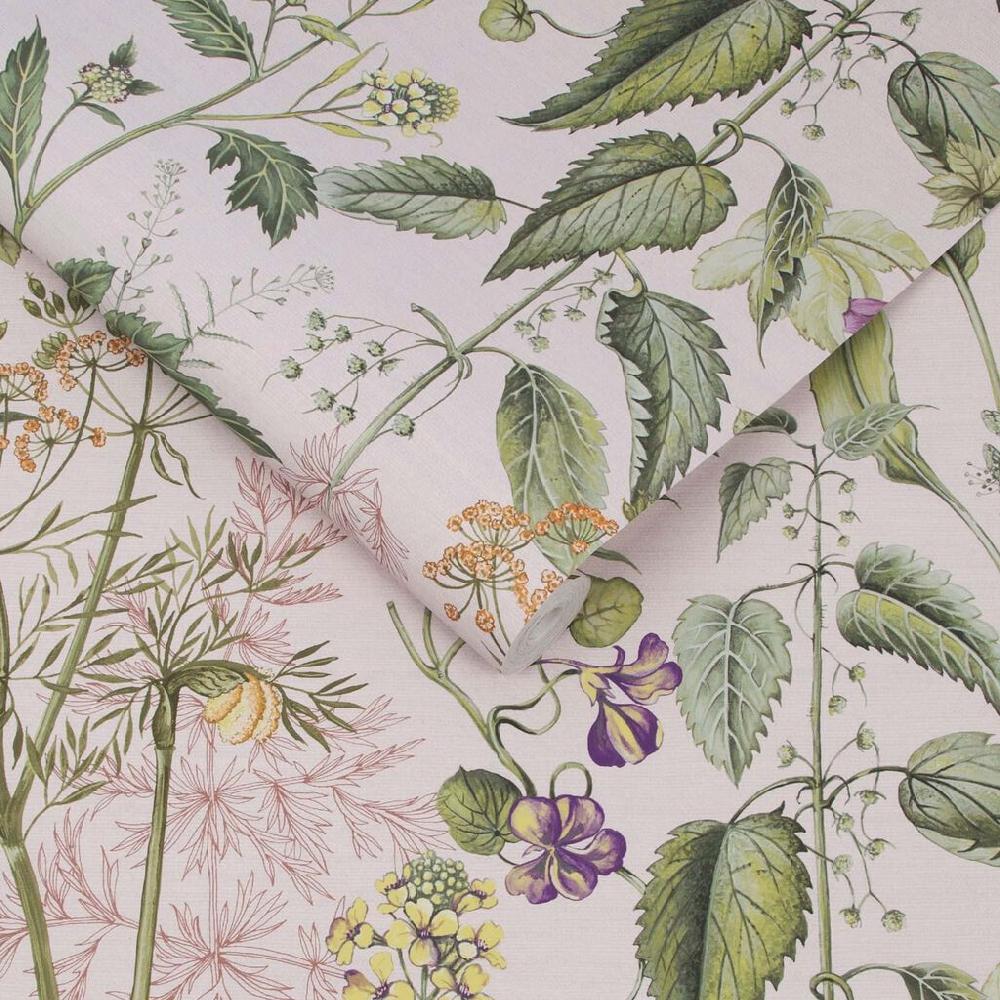 Graham & Brown Edulis Blush Wallpaper