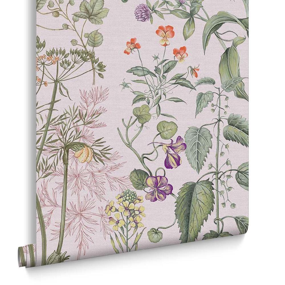 Graham & Brown Edulis Blush Wallpaper