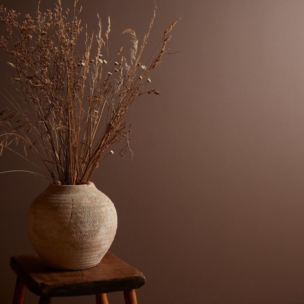 Graham & Brown Elderton Paint