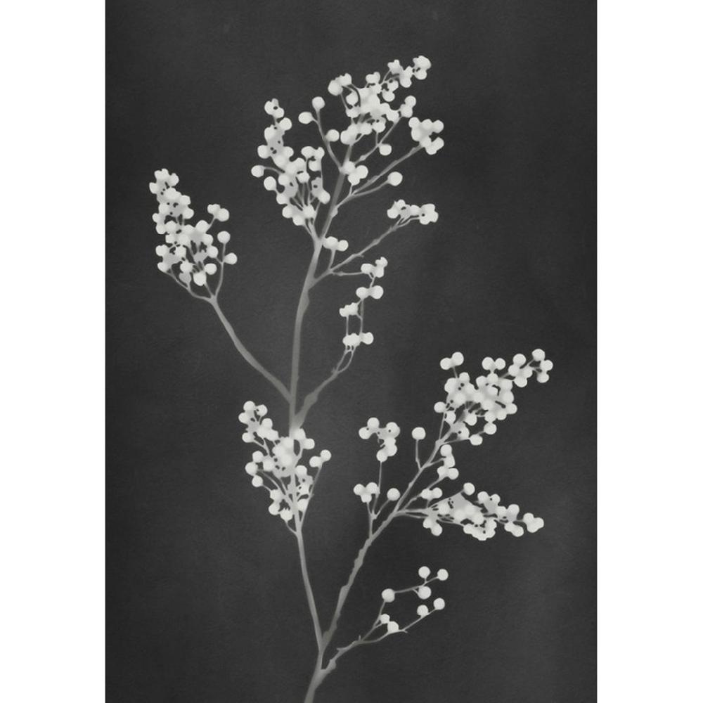 graham & brown Flower Press Black Wall Art