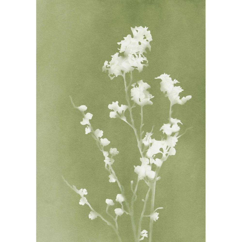 graham & brown Flower Press Green Wall Art